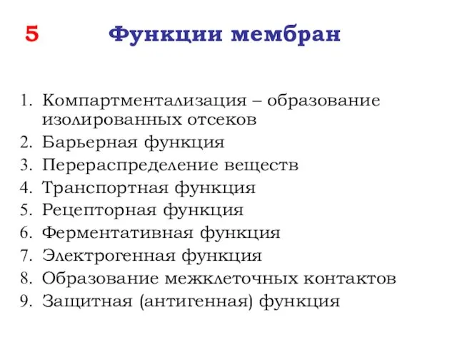 5 Функции мембран Компартментализация – образование изолированных отсеков Барьерная функция Перераспределение