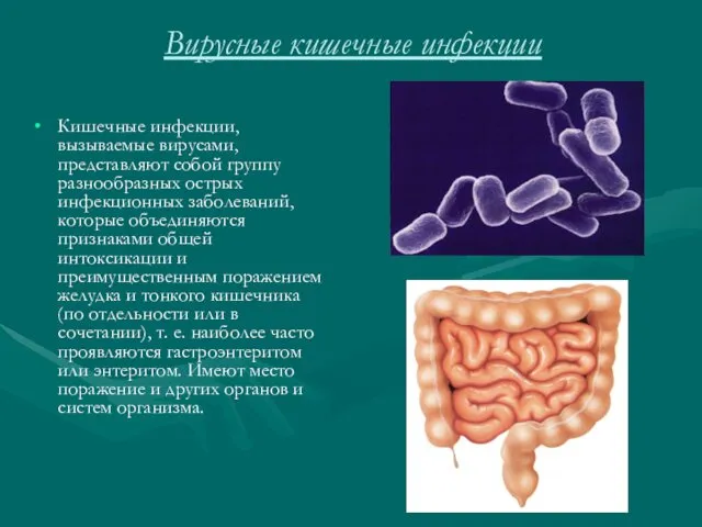 Вирусные кишечные инфекции Кишечные инфекции, вызываемые вирусами, представляют собой группу разнообразных