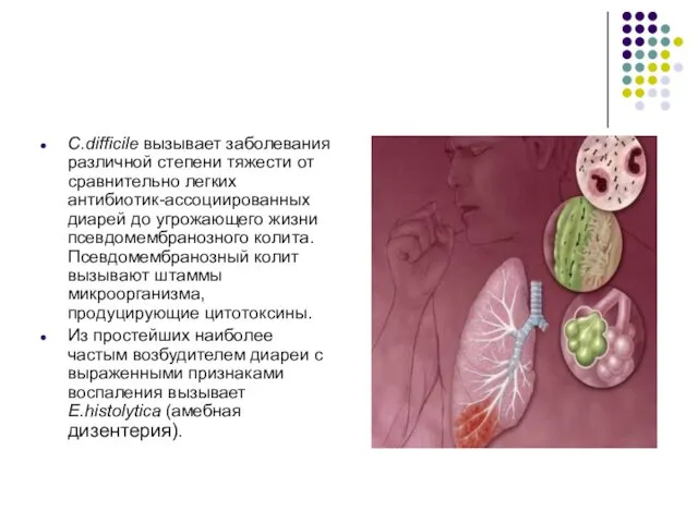 C.difficile вызывает заболевания различной степени тяжести от сравнительно легких антибиотик-ассоциированных диарей