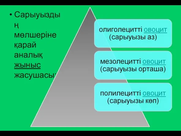 Сарыуыздың мөлшеріне қарай аналық жыныс жасушасы: