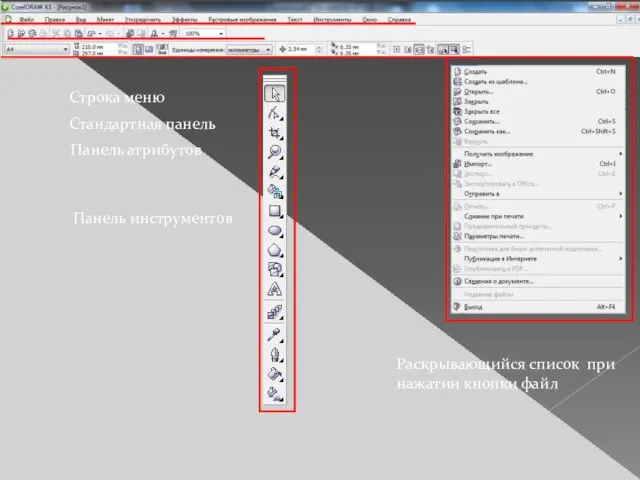 Строка меню Стандартная панель Панель атрибутов Панель инструментов Раскрывающийся список при нажатии кнопки файл