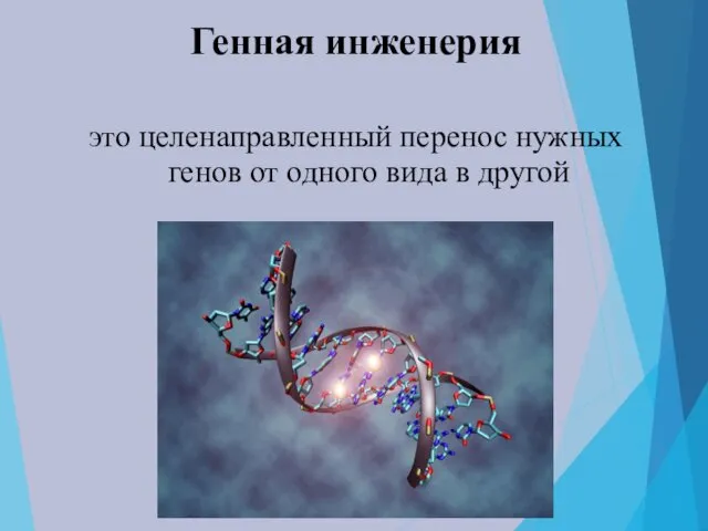 Генная инженерия это целенаправленный перенос нужных генов от одного вида в другой