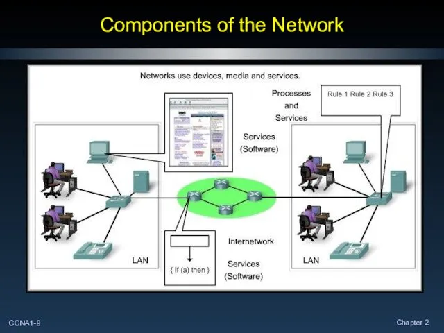 Components of the Network