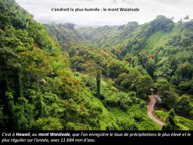 L'endroit le plus humide : le mont Waialeale C'est à Hawaii,