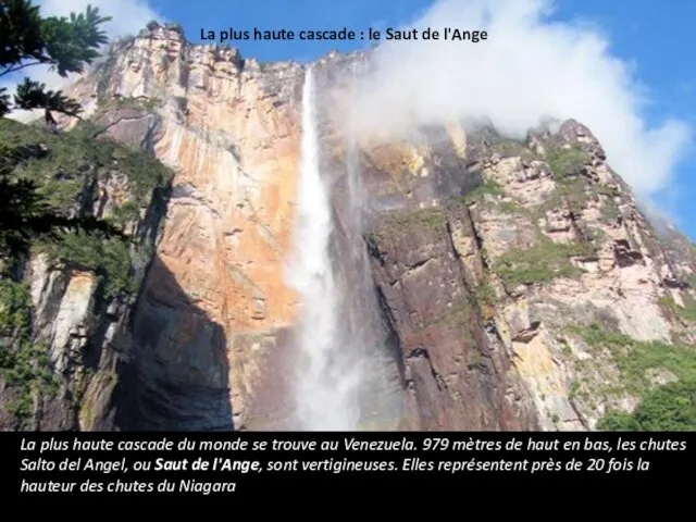 La plus haute cascade : le Saut de l'Ange La plus