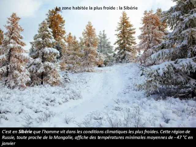 La zone habitée la plus froide : la Sibérie C'est en