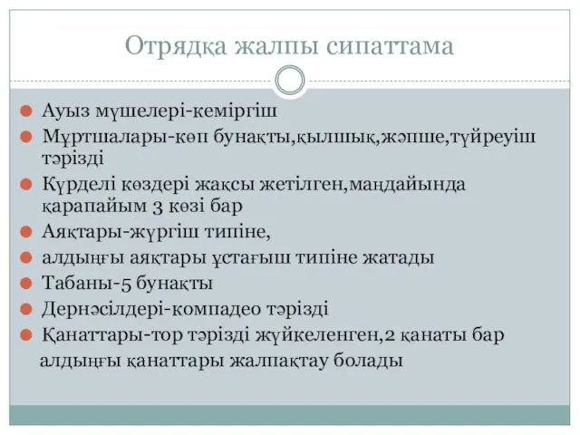 Отрядқа жалпы сипаттама Ауыз мүшелері-кеміргіш Мұртшалары-көп бунақты,қылшық,жәпше,түйреуіш тәрізді Күрделі көздері жақсы