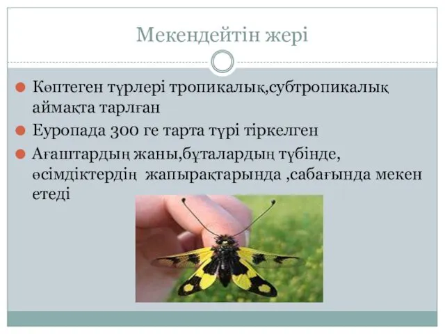 Мекендейтін жері Көптеген түрлері тропикалық,субтропикалық аймақта тарлған Еуропада 300 ге тарта