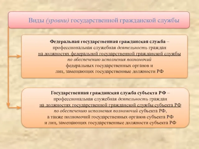 Виды (уровни) государственной гражданской службы Федеральная государственная гражданская служба – профессиональная