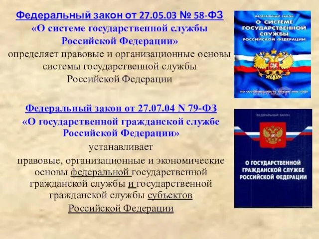 Федеральный закон от 27.05.03 № 58-ФЗ «О системе государственной службы Российской