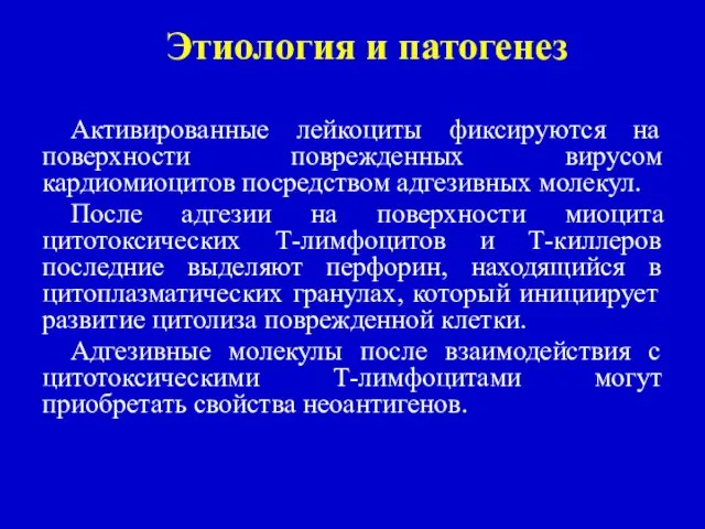 Этиология и патогенез Активированные лейкоциты фиксируются на поверхности поврежденных вирусом кардиомиоцитов