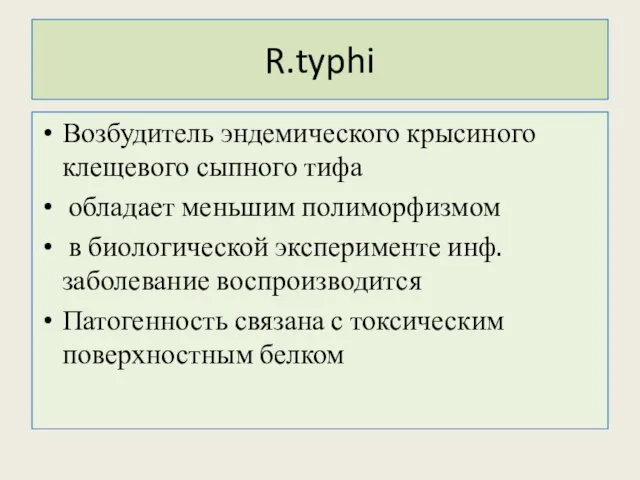 R.typhi Возбудитель эндемического крысиного клещевого сыпного тифа обладает меньшим полиморфизмом в