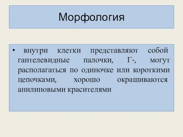 Морфология внутри клетки представляют собой гантелевидные палочки, Г-, могут располагаться по