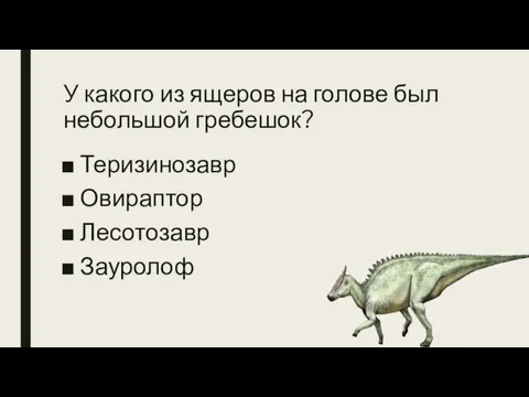 У какого из ящеров на голове был небольшой гребешок? Теризинозавр Овираптор Лесотозавр Зауролоф