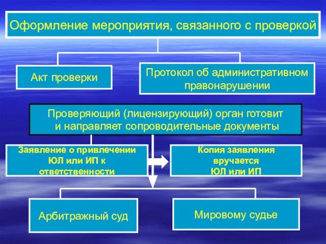 Акт проверки Протокол об административном правонарушении Проверяющий (лицензирующий) орган готовит и