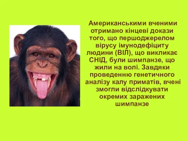 Американськими вченими отримано кінцеві докази того, що першоджерелом вірусу імунодефіциту людини