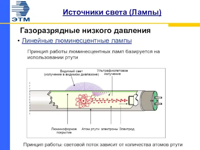 Источники света (Лампы) Газоразрядные низкого давления Линейные люминесцентные лампы