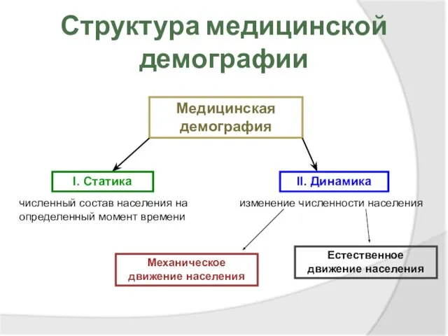 Структура медицинской демографии Медицинская демография I. Статика II. Динамика численный состав