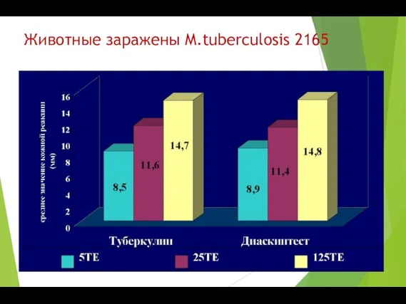 Животные заражены M.tuberculosis 2165