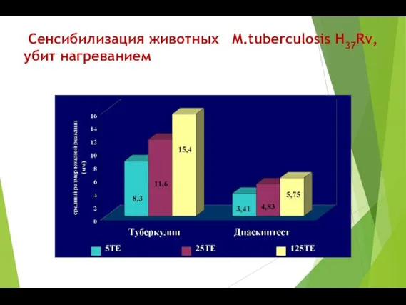 Сенсибилизация животных M.tuberculosis H37Rv, убит нагреванием