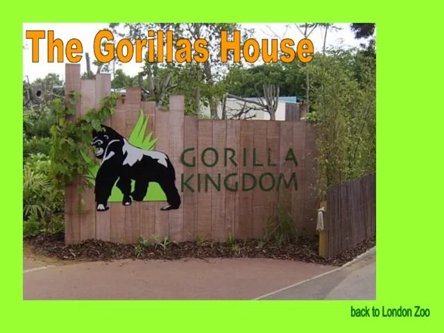 The Gorillas House back to London Zoo