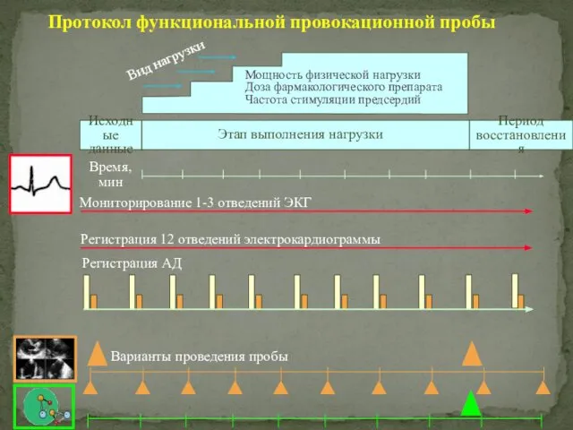 Период восстановления Этап выполнения нагрузки Исходные данные Мониторирование 1-3 отведений ЭКГ