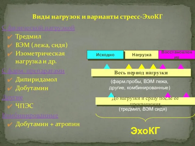 Виды нагрузок и варианты стресс-ЭхоКГ С физической нагрузкой Тредмил ВЭМ (лежа,