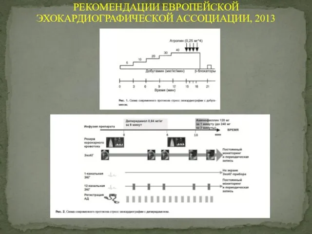 РЕКОМЕНДАЦИИ ЕВРОПЕЙСКОЙ ЭХОКАРДИОГРАФИЧЕСКОЙ АССОЦИАЦИИ, 2013