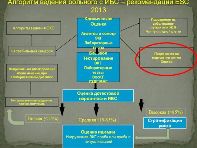 Алгоритм ведения больного с ИБС – рекомендации ESC 2013 Алгоритм ведения