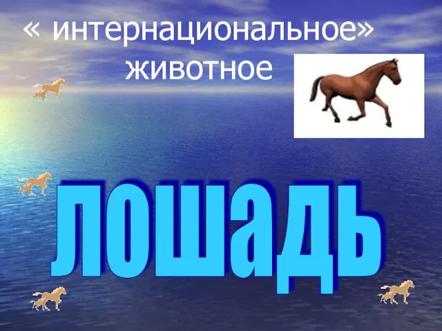 « интернациональное» животное лошадь