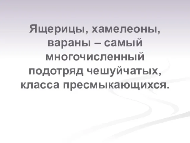 Ящерицы, хамелеоны, вараны – самый многочисленный подотряд чешуйчатых, класса пресмыкающихся.