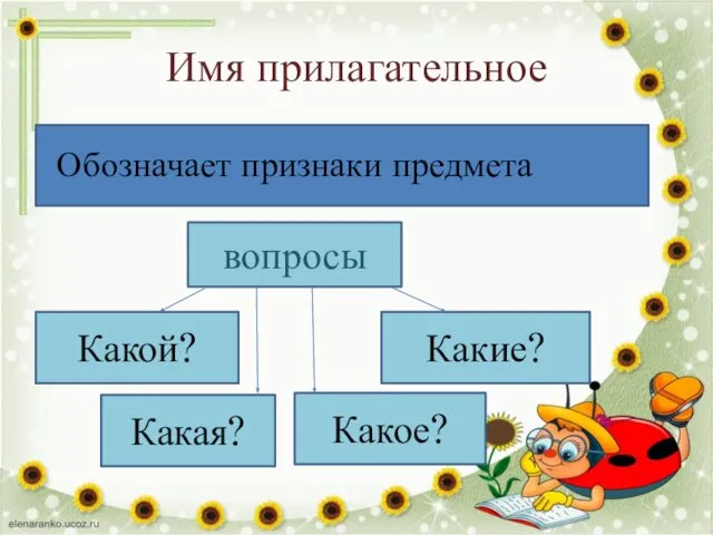 Имя прилагательное вопросы Какой? Какая? Какое? Какие? Обозначает признаки предмета