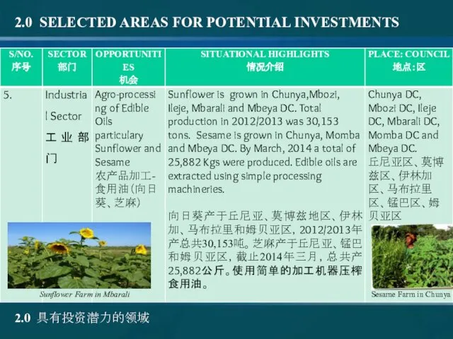 2.0 具有投资潜力的领域 2.0 SELECTED AREAS FOR POTENTIAL INVESTMENTS Sunflower Farm in Mbarali Sesame Farm in Chunya