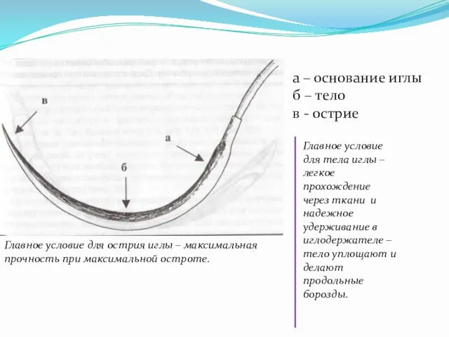 а – основание иглы б – тело в - острие Главное