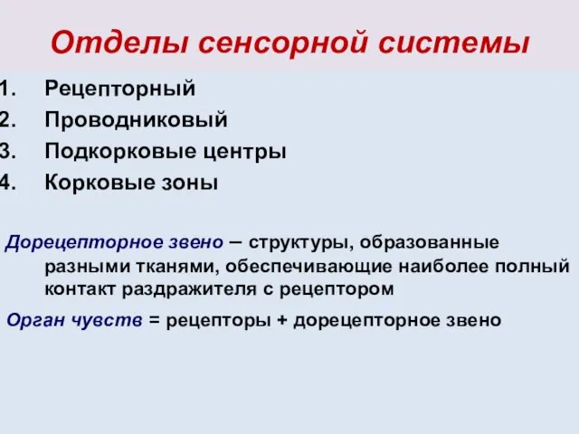 Отделы сенсорной системы Рецепторный Проводниковый Подкорковые центры Корковые зоны Дорецепторное звено