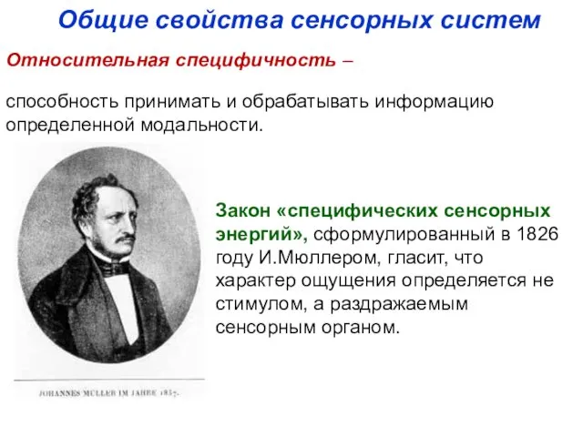 Общие свойства сенсорных систем способность принимать и обрабатывать информацию определенной модальности.