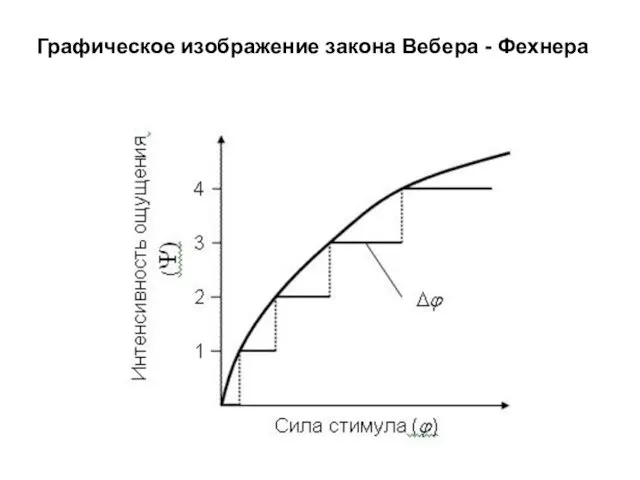 Графическое изображение закона Вебера - Фехнера