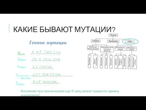 КАКИЕ БЫВАЮТ МУТАЦИИ? Вспомним про генетический код! К чему может привести замена нуклеотида?