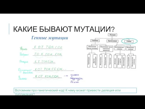 КАКИЕ БЫВАЮТ МУТАЦИИ? Вспомним про генетический код! К чему может привести делеция или дупликация?