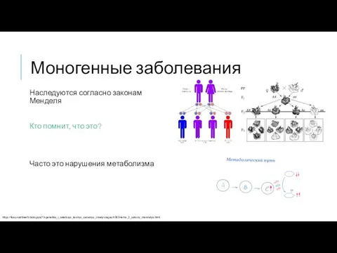 Моногенные заболевания Наследуются согласно законам Менделя Кто помнит, что это? Часто это нарушения метаболизма https://licey.net/free/6-biologiya/73-genetika_i_selekciya_teoriya_zadaniya_otvety/stages/4393-tema_2_zakony_mendelya.html