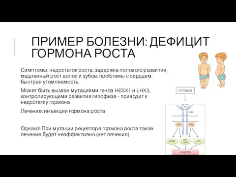 ПРИМЕР БОЛЕЗНИ: ДЕФИЦИТ ГОРМОНА РОСТА Симптомы: недостаток роста, задержка полового развития,