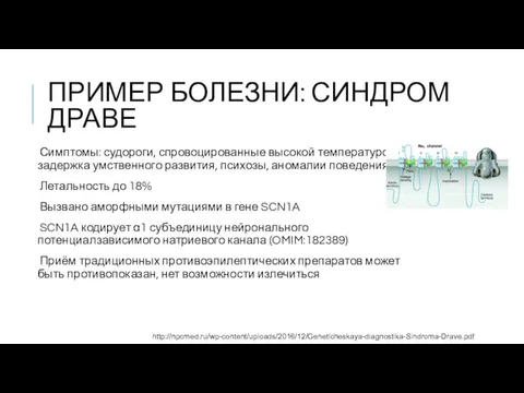 ПРИМЕР БОЛЕЗНИ: СИНДРОМ ДРАВЕ Симптомы: судороги, спровоцированные высокой температурой, задержка умственного