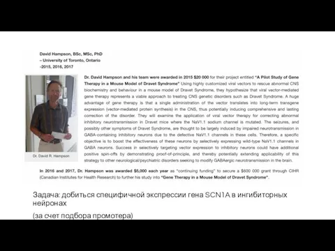 Задача: добиться специфичной экспрессии гена SCN1A в ингибиторных нейронах (за счет подбора промотера)