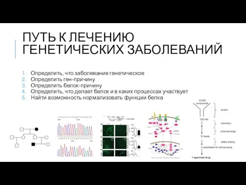 ПУТЬ К ЛЕЧЕНИЮ ГЕНЕТИЧЕСКИХ ЗАБОЛЕВАНИЙ Определить, что заболевание генетическое Определить ген-причину