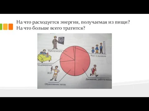 На что расходуется энергия, получаемая из пищи? На что больше всего тратится?