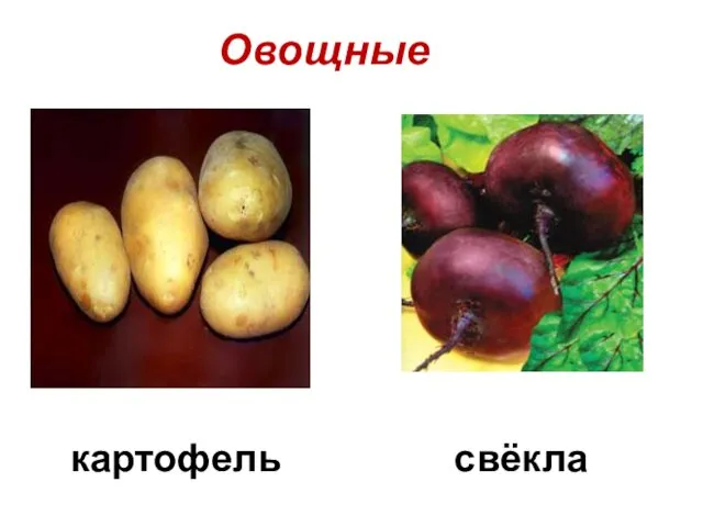 картофель свёкла Овощные