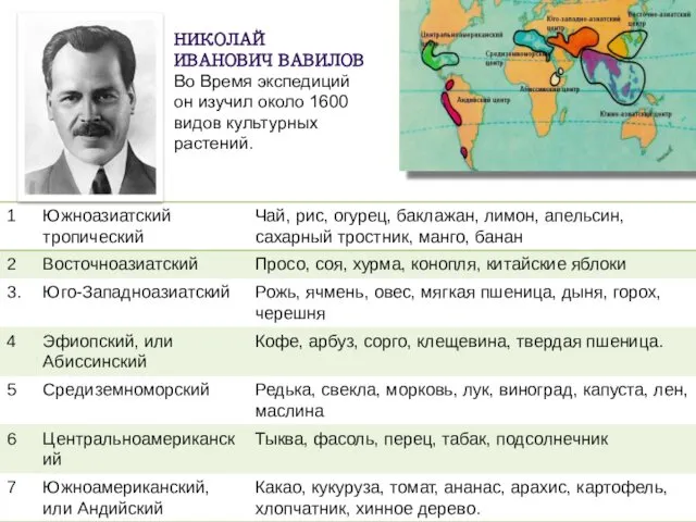 НИКОЛАЙ ИВАНОВИЧ ВАВИЛОВ Во Время экспедиций он изучил около 1600 видов культурных растений.