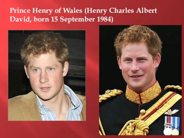 Prince Henry of Wales (Henry Charles Albert David, born 15 September 1984)