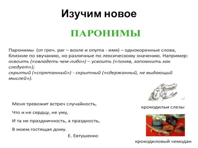 Изучим новое