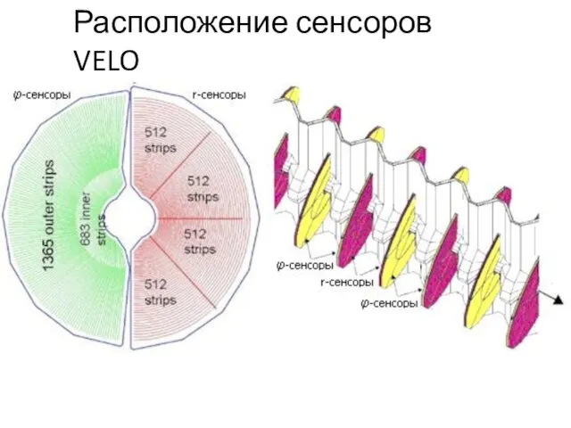 Расположение сенсоров VELO